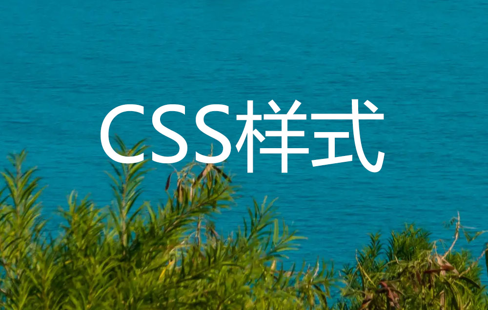 վǰ˽֮css